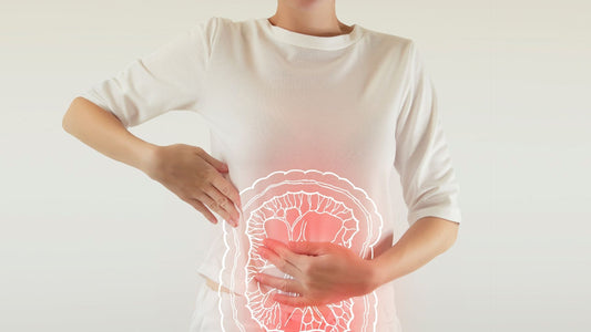 味噌は腸内環境の救世主？健康と美容を支える味噌のチカラを徹底解説